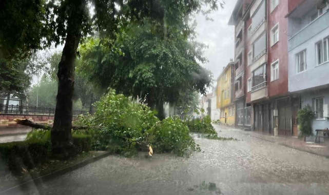 Kastamonu'da kuvvetli sağanak hayatı olumsuz etkiledi