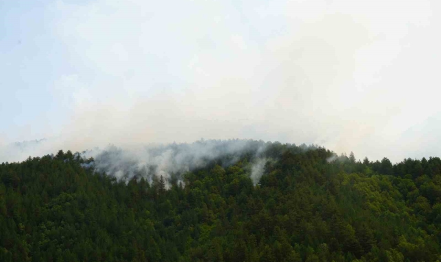 Kastamonu'da yıldırım sebebiyle çıkan orman yangına müdahale sürüyor