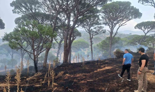 Kaymakam Gökçe, yangın ve taşkın bölgelerinde incelemelerde bulundu