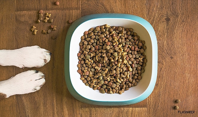 KEDİ VE KÖPEK MAMASI İHRACATINDA BÜYÜK ARTIŞ!