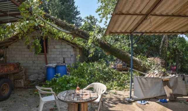 Kepez'de şiddetli fırtınanın yaraları sarılıyor