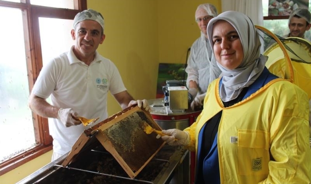 Kestane balı sağımı başladı