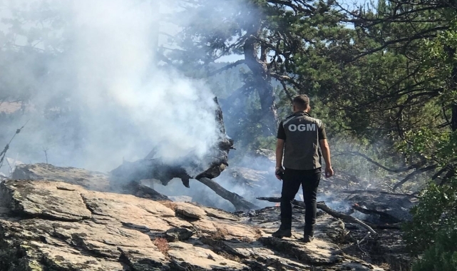 Kıbrıscık'ta ormanlık alanda çıkan yangın söndürüldü