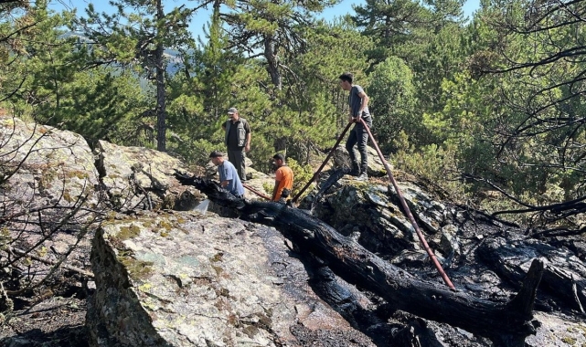 Kıbrıscık'ta orman yangını büyümeden söndürüldü