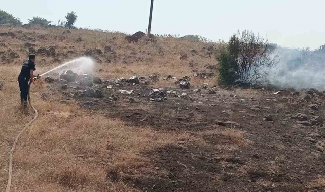 Kırıkhan'da otluk yangını söndürüldü