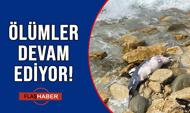 KIYIYA ÖLÜSÜ VURDU!