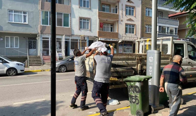 Körfez'de hummalı temizlik