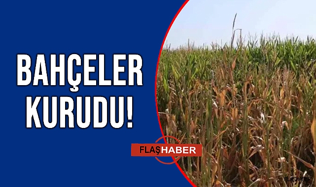 KÖYLÜ SU BEKLİYOR!