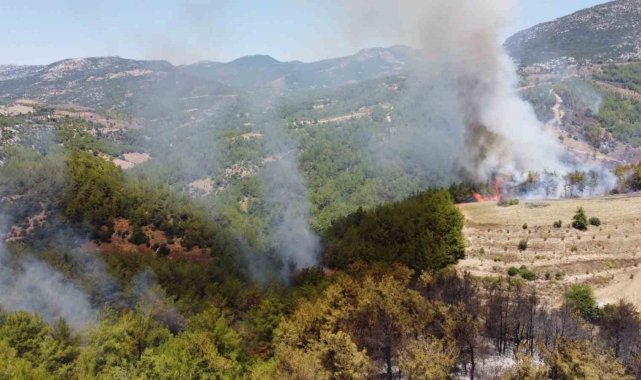 Kozan'da yanan ormanlık alan havadan görüntülendi