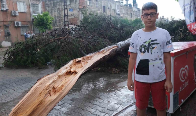 Küçük çocuk fırtınada devrilen ağacın altında kalmaktan son anda kurtuldu
