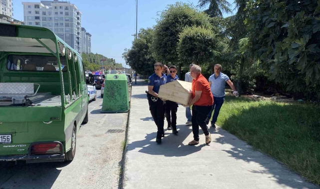 Küçükçekmece'de ağaçlık alanda ceset bulundu