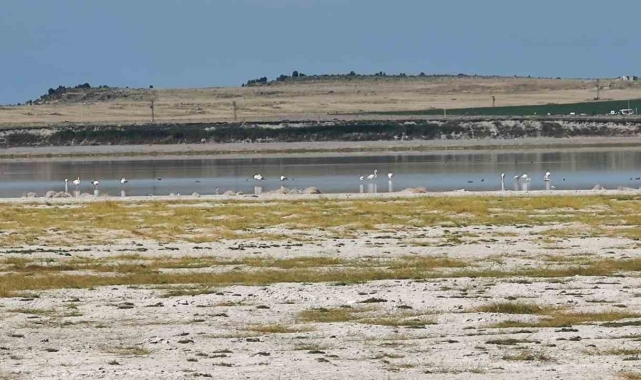 Kuş cenneti Arin Gölü'nde kuraklık tehlikesi