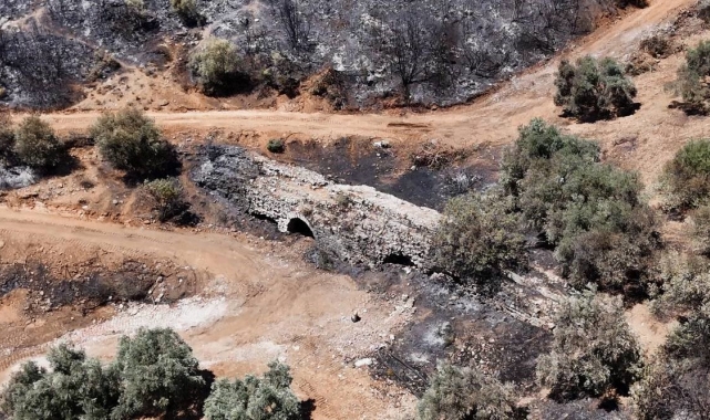 Kuşadası'ndaki orman yangınında antik su kemeri zarar gördü