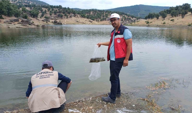 Kütahya'da 5 milyon 423 bin 150 adet balık iç su kaynaklarına bırakıldı