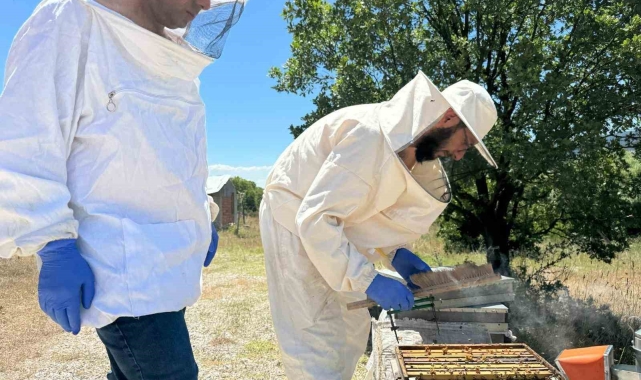 Kütahya'da arıcılığı geliştirme projesi