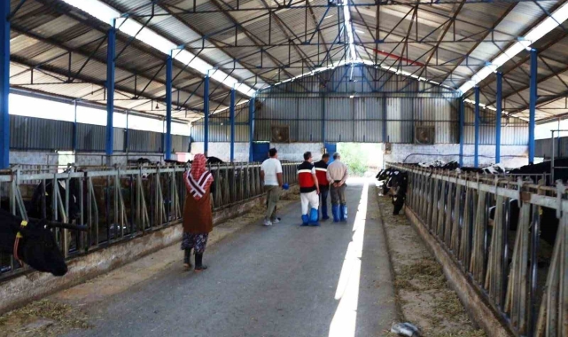 Kütahya'da KKYDP 15. etap projelerinin yatırım yeri kontrolleri
