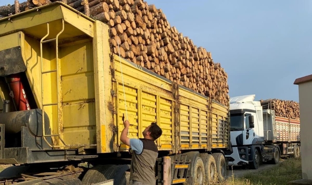 Kütahya'da orman emvali yüklü araçlarda 'Mobil Denetim'