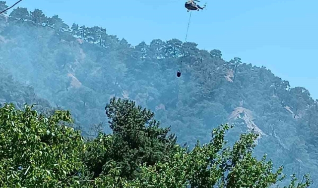 Kuyucak'taki orman yangınının sebebi belli oldu