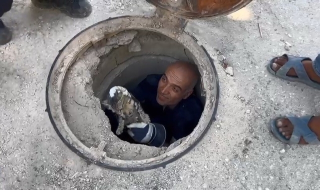Lağım borusuna sıkışan kediyi itfaiye ekipleri kurtardı