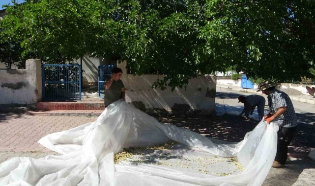 Malatya'da dutun pekmez yolcuğu başladı