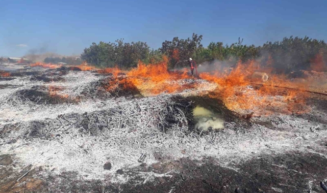 Malatya'da iki ayrı noktada çıkan yangın korkuttu