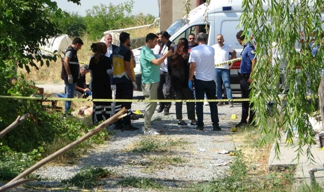 Malatya'da tavuk çiftliğinde cinayet