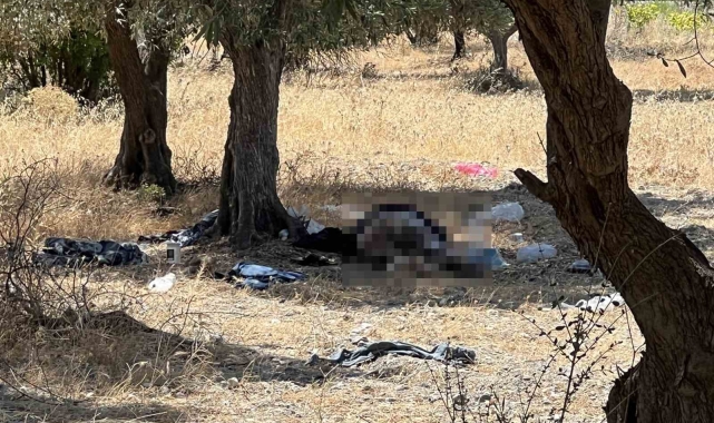 Manisa'da 15 yıldır zeytinlikte yaşayan şahıs ölü bulundu