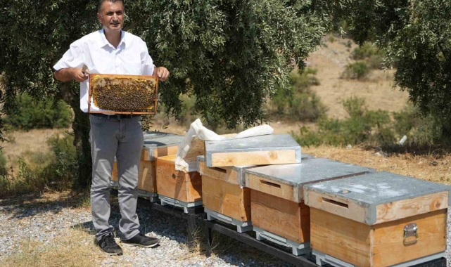 Manisa'da aşırı sıcaklar bal üretimini etkiledi