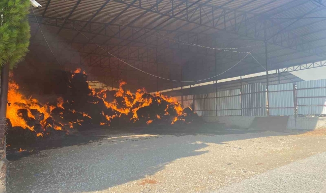 Manisa'da çiftlik yangını: 2 bin balya saman kül oldu