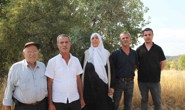 Mardin'de ağabey, 15 kardeşinin arazi hakkını sahte tapu işlemleri ile aldığı iddia edildi