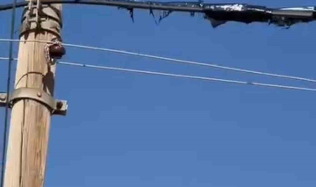 Mardin'de sıcaklardan elektrik telleri eridi