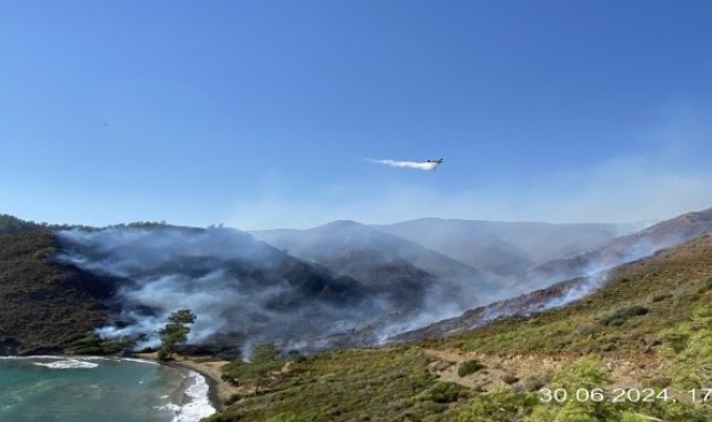 Marmaris Bördübet yangınında üç kişi gözaltına alındı