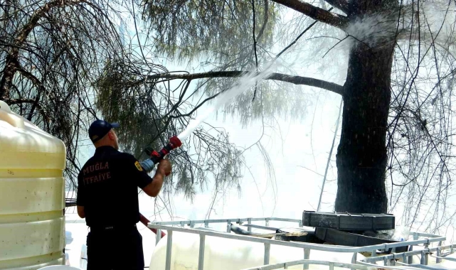 Menteşe'de yangın, ekiplerin zamanında müdahalesi ile söndürüldü