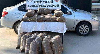 Mersin'de 310 kilo kaçak tütün ele geçirildi