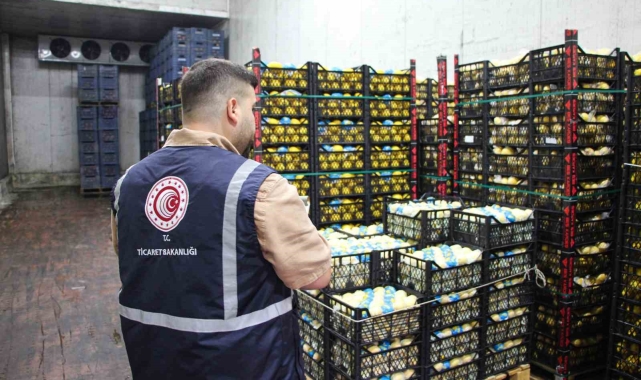 Mersin'de limon depoları denetleniyor