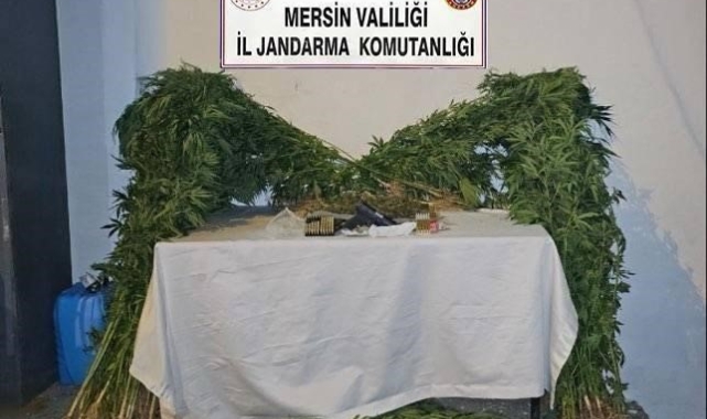 Mersin'de uyuşturucu üretip satan şüpheli yakalandı