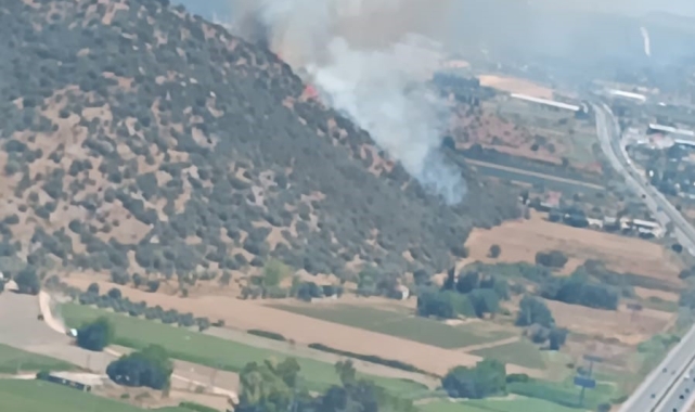 Milas'ta zirai alan yangını