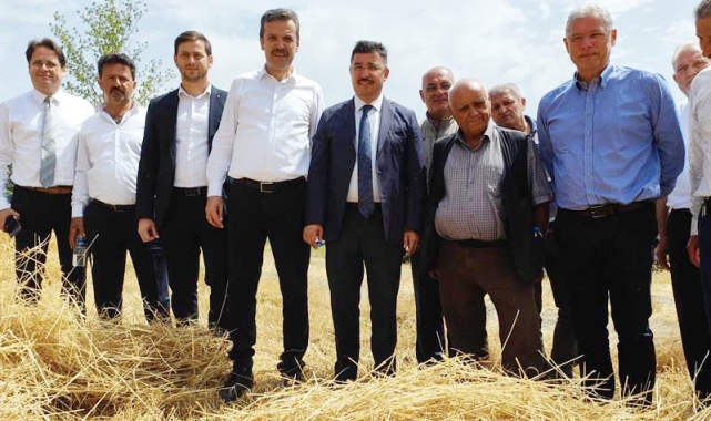 Mudanya'da hasat zamanı