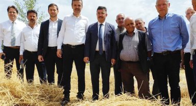 Mudanya'da hasat zamanı