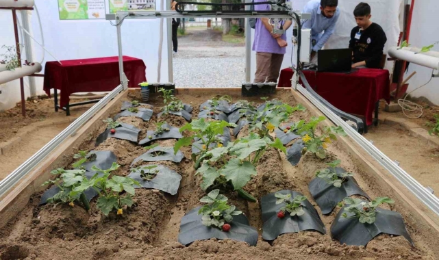 Muğla'da iki proje faydalı model olarak tescillendi