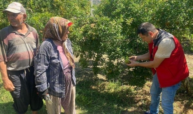 Muğla'da 'zararlı' kontrolü