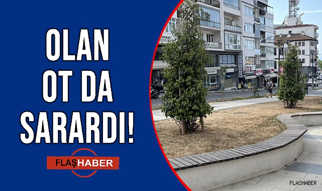NE OLACAK MEYDANIN HALİ?