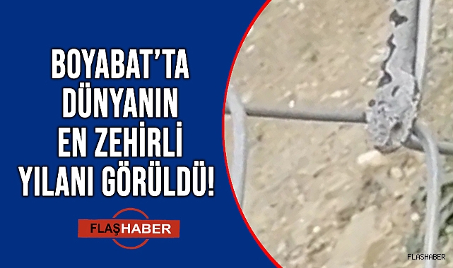 NESLİ TEHLİKE ALTINDA