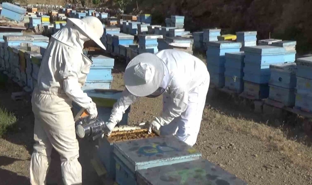 Niğde'de 250 ton bal üretimi bekleniyor