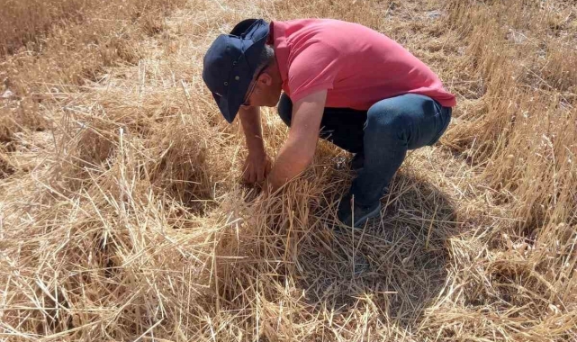 Niğde'de çiftçilere uyarı