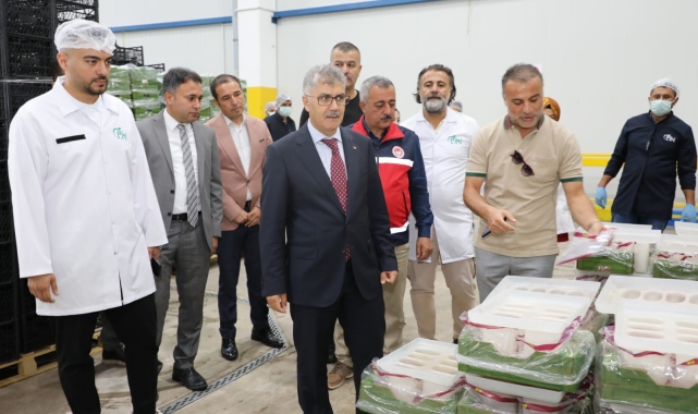 Niğde'de üretilen kirazlar Avrupa ve Uzak Doğu ülkelerine ihraç ediliyor