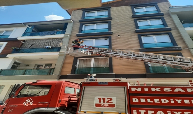 Niksar'da pencereye sıkışan yavru kumru kurtarıldı