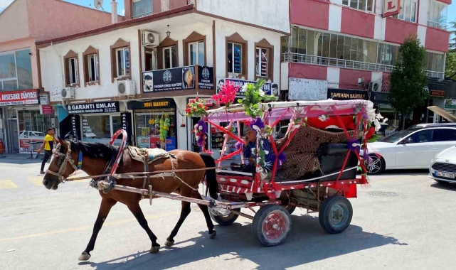 Nostaljik at arabasıyla düğün ve sünnetlerde gezi keyfi ilgi görüyor
