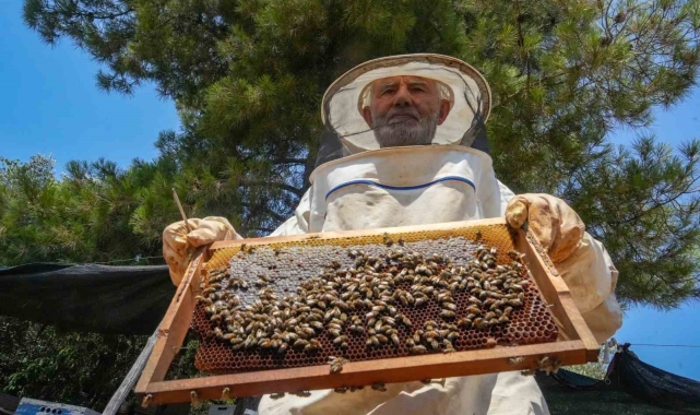 Oğlunun ölümünün ardından dedesinden kalma arıcılık mesleğiyle hayata tutundu