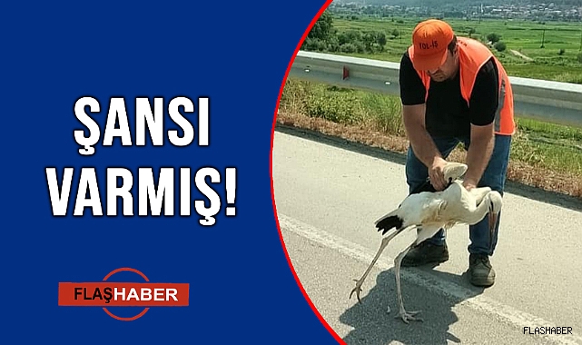 ÖLÜMDEN DÖNDÜ!